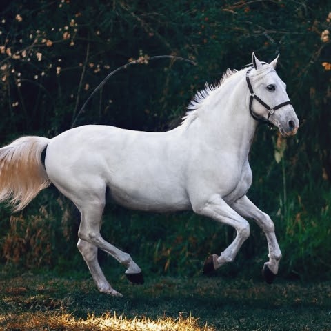 파일:NorNamal ChannelProfile.jpg