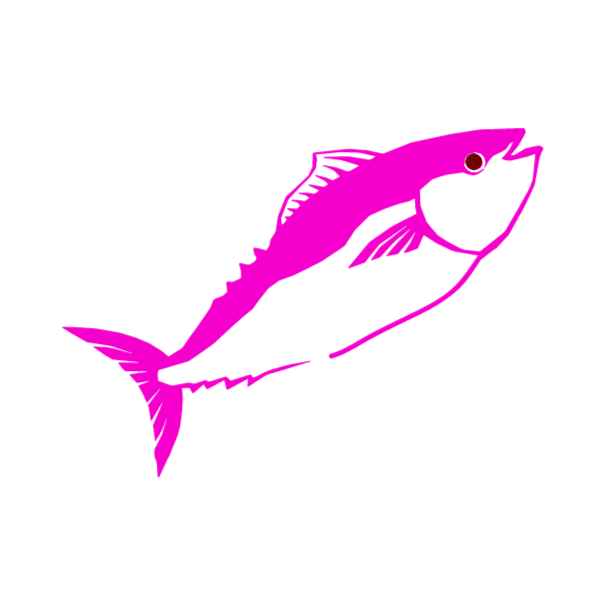 파일:유수찬 ChannelProfile.png